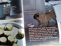 Mops bei IKEA Mops bei IKEA